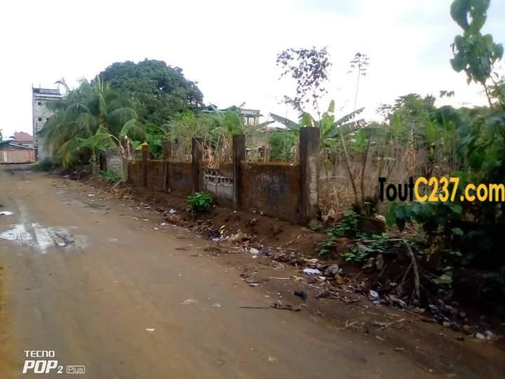 Terrain à vendre à Logbessou (témoin de jehovah)