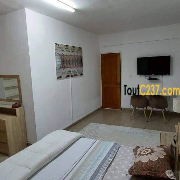 Appartement de 4 Chambres meublés à louer à Akwa Douala