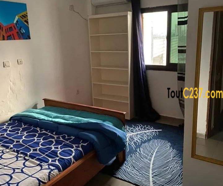 Appartement de 4 Chambres meublés à louer à Akwa Douala