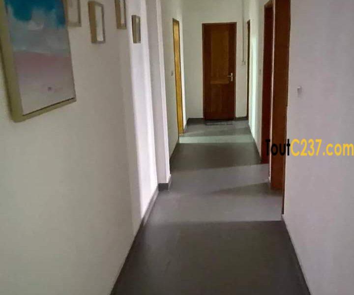 Appartement de 4 Chambres meublés à louer à Akwa Douala