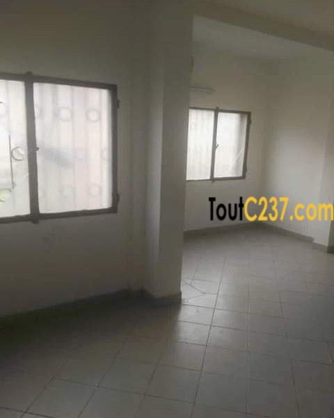 Studio Moderne à louer à Bonapriso Douala