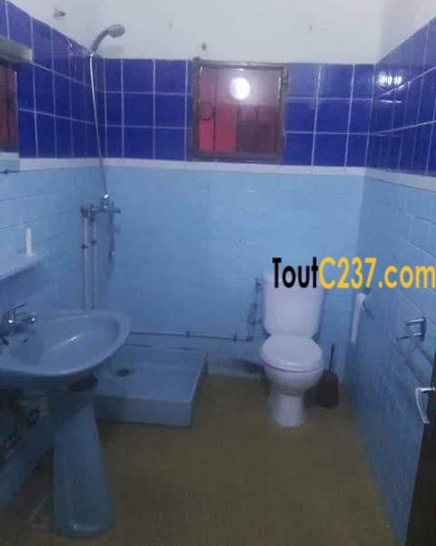 Studio Moderne à louer à Bonapriso Douala