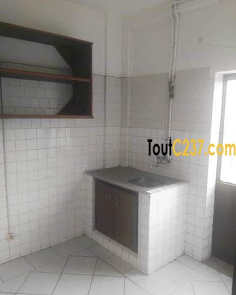 Studio Moderne à louer à Bonapriso Douala