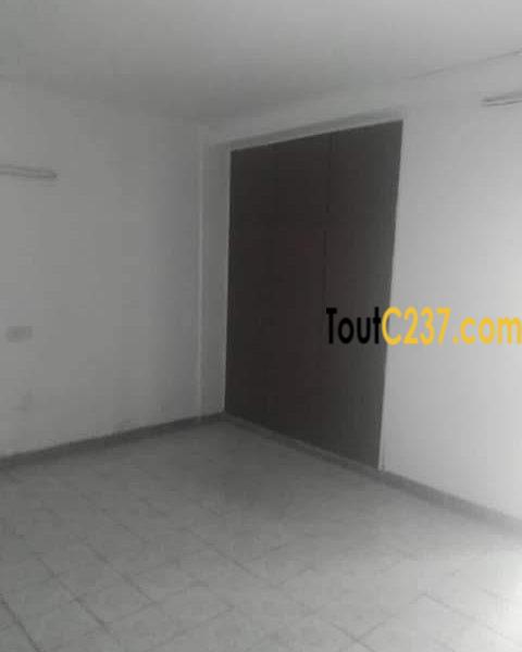 Studio Moderne à louer à Bonapriso Douala