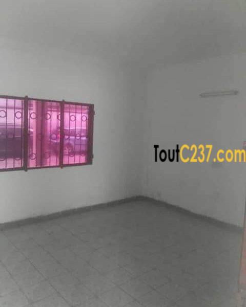 Studio Moderne à louer à Bonapriso Douala