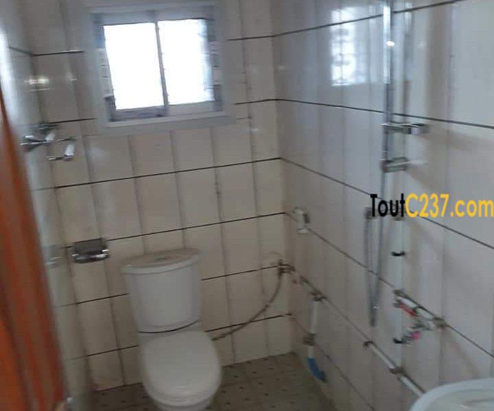 Appartement neuf à louer à Makepe Douala
