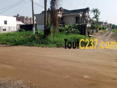 Terrain à vendre à Bonamoussadi Denver