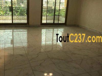 Très vastes parlements à louer à Saint Michel