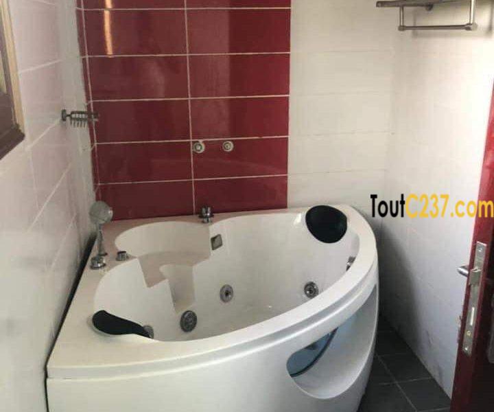 Très vastes parlements à louer à Saint Michel