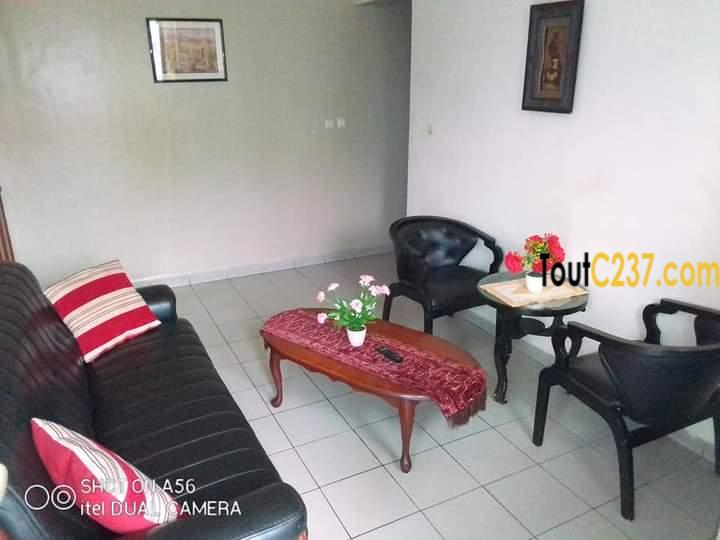 Studio moderne à louer à Bonanjo Douala