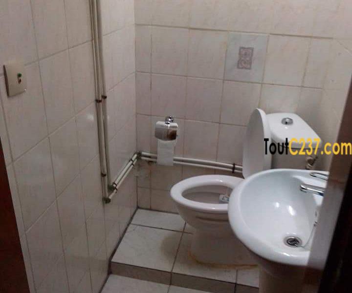 Studio moderne à louer à Bonanjo Douala