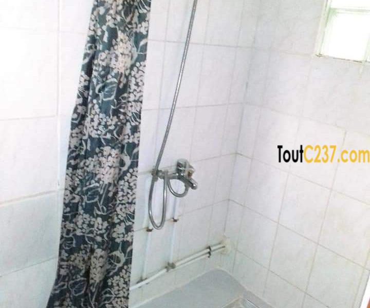 Studio moderne à louer à Bonanjo Douala