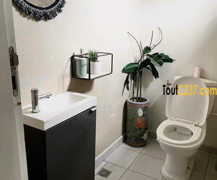 Studio meublé à Bonamoussadi Douala