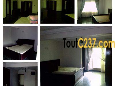 Offre Entreprise: Appartement à louer au Grand Mall Douala