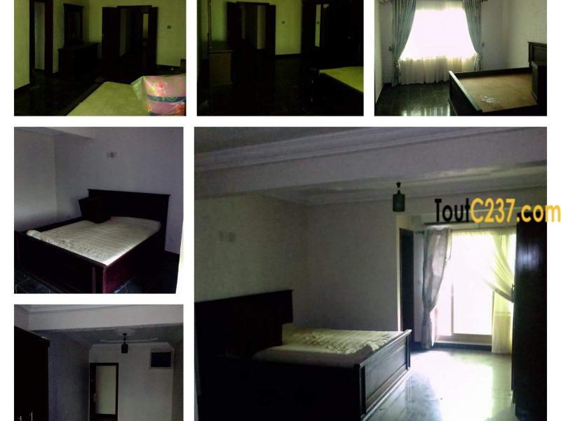Offre Entreprise: Appartement à louer au Grand Mall Douala