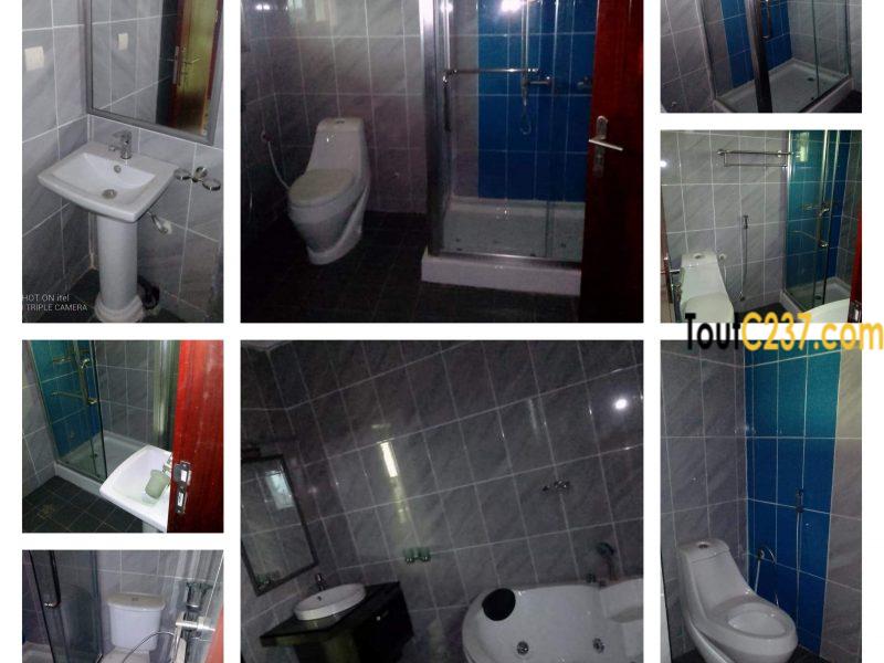 Offre Entreprise: Appartement à louer au Grand Mall Douala