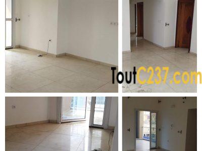 Appartement neuf à louer à Bonapriso