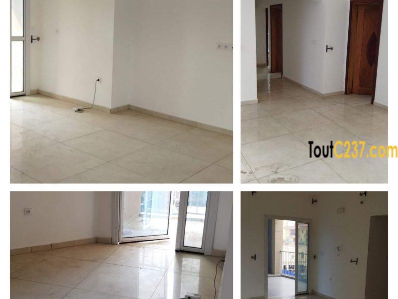 Appartement neuf à louer à Bonapriso