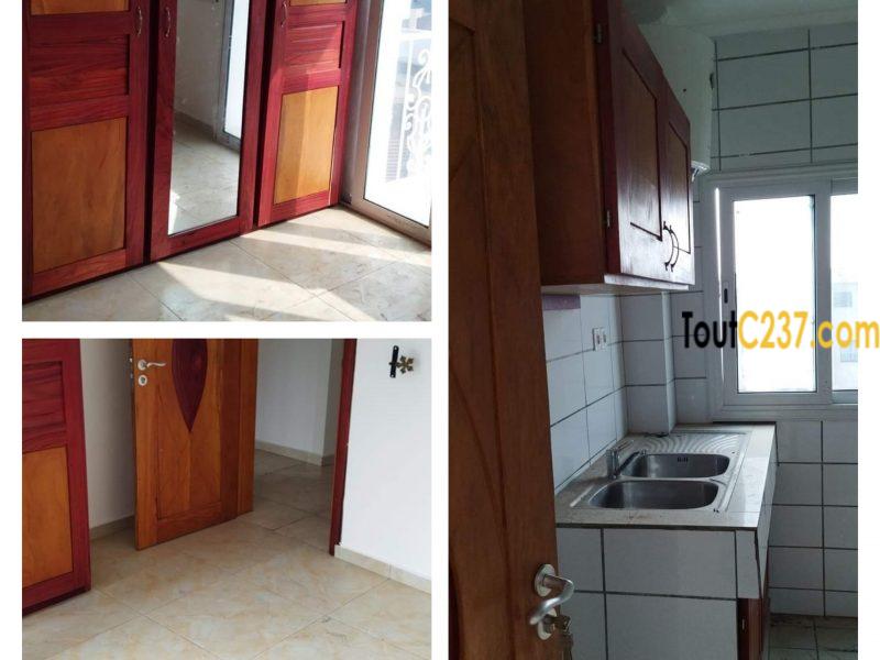 Appartement neuf à louer à Bonapriso