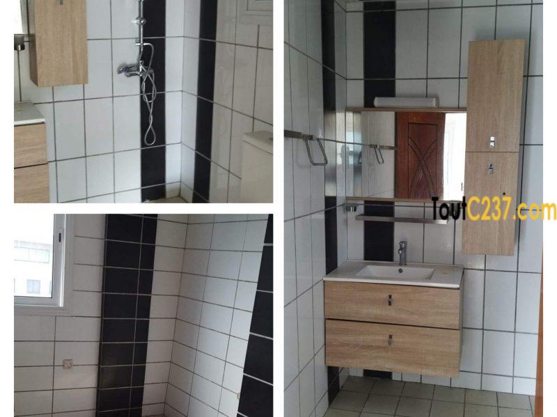 Appartement neuf à louer à Bonapriso