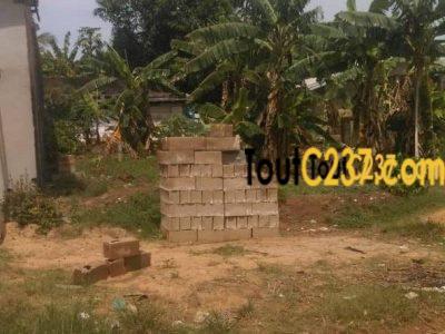 Terrain a vendre à Logbessou (Témoin de Jehovah)