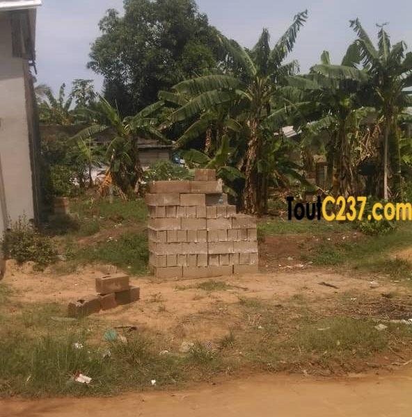 Terrain a vendre à Logbessou (Témoin de Jehovah)