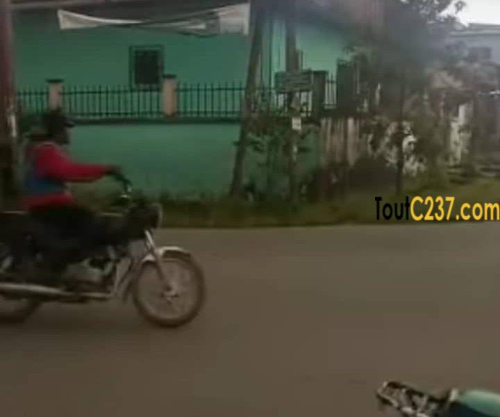 Terrain d'angle commercial à vendre à Bonamoussadi