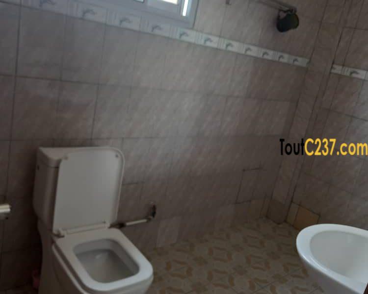 Appartement spécial à louer à Makepe