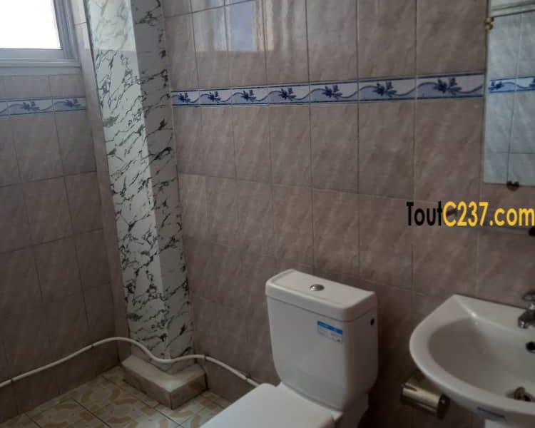 Appartement spécial à louer à Makepe