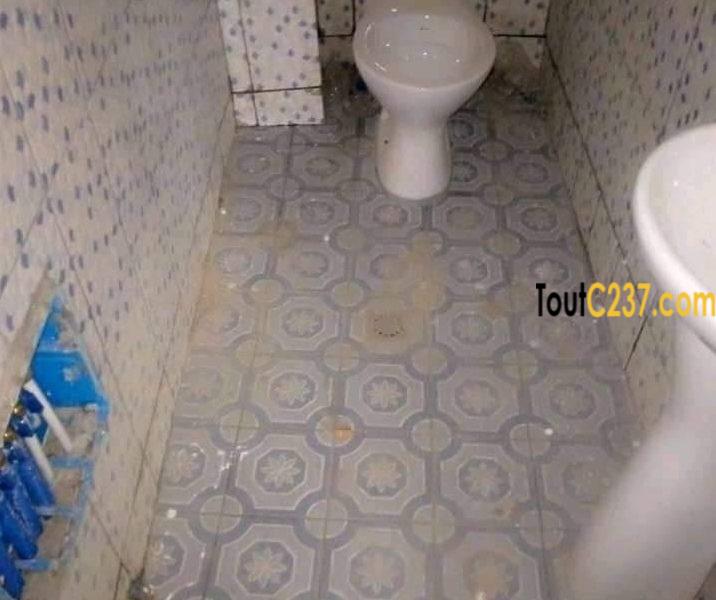 Studio neuf à louer à logpom Douala