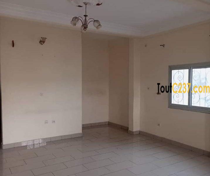 Appartement à louer à Bonamoussadi