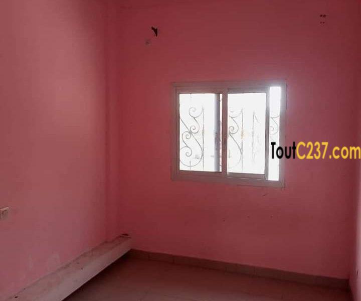 Appartement à louer à Bonamoussadi