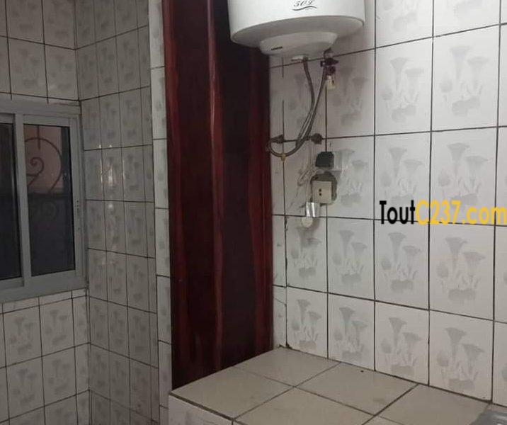 Appartement à louer à Bonamoussadi