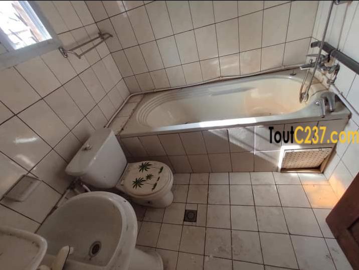 Appartement à louer à Bonamoussadi Douala