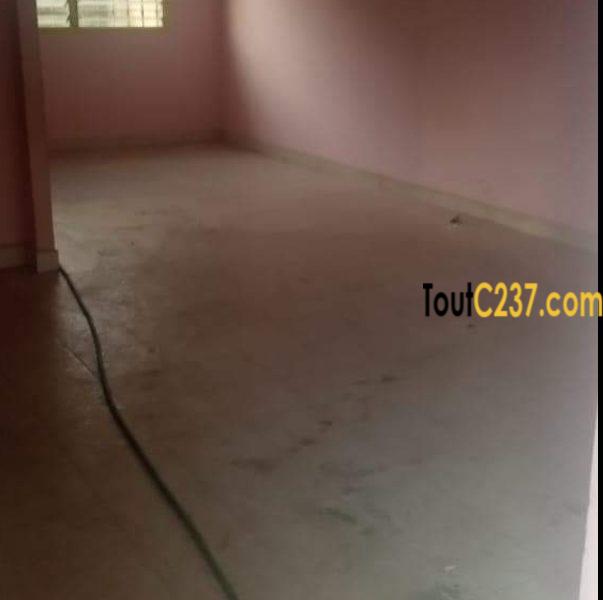 Villa commerciale à louer à Kotto Douala