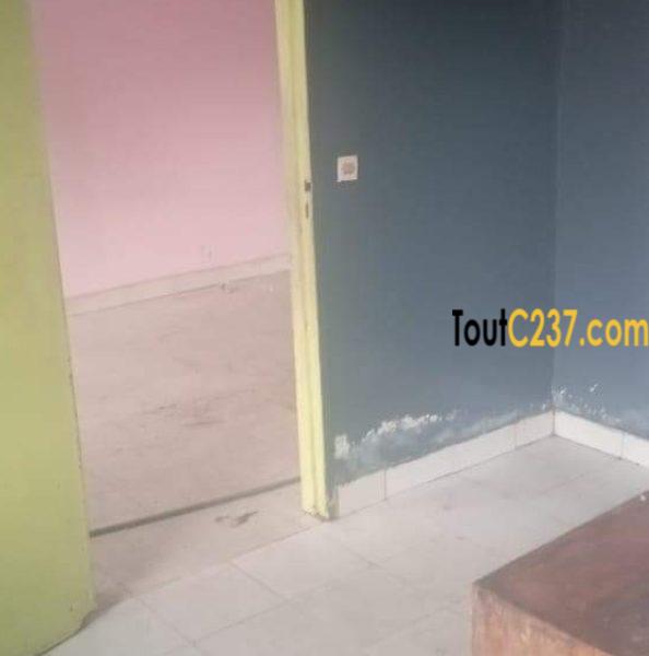 Villa commerciale à louer à Kotto Douala