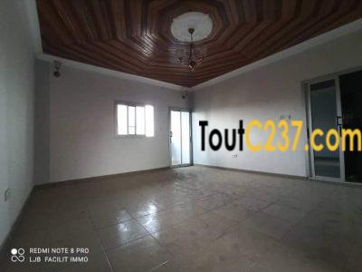 Appartement à louer à Kotto Douala