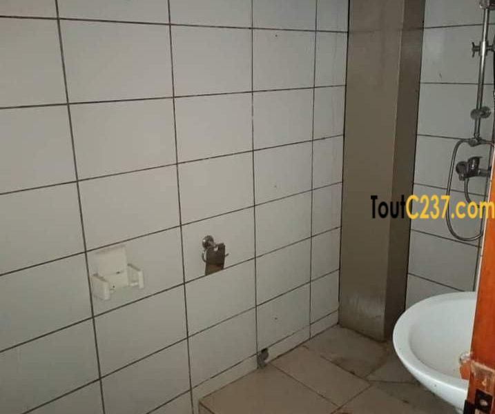 Appartement à louer à Akwa Douala
