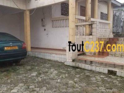 Maison, villa à louer à Kotto Douala