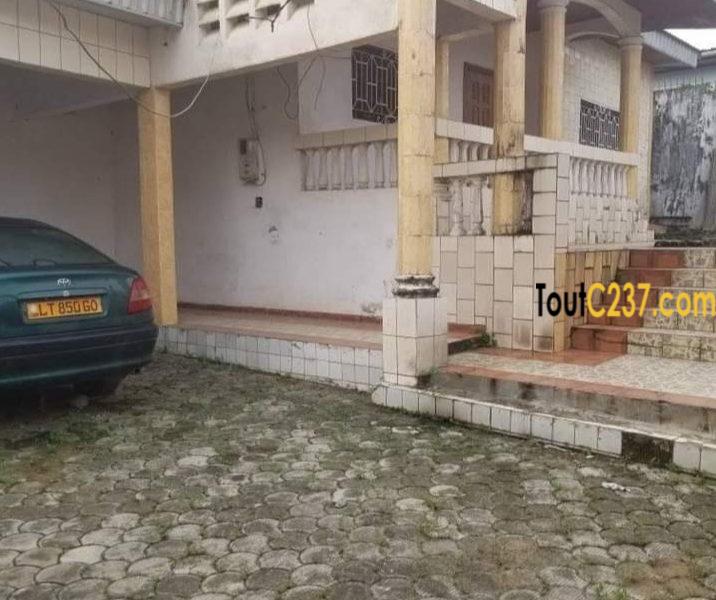 Maison, villa à louer à Kotto Douala