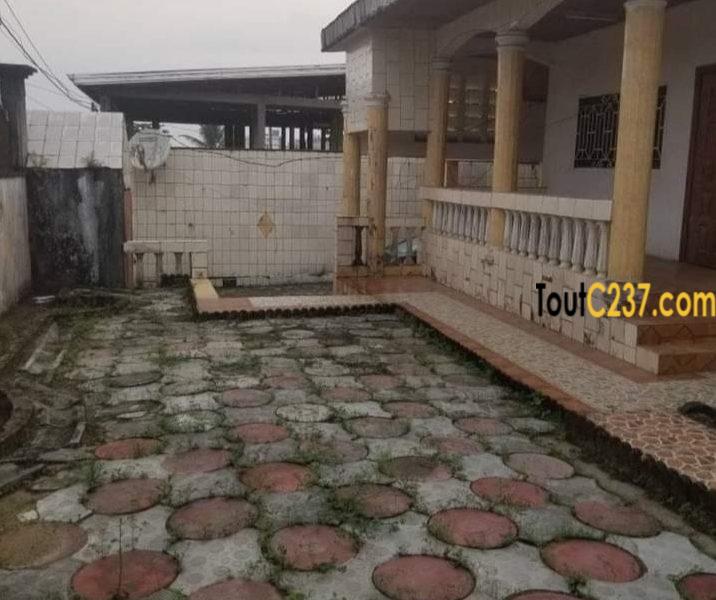 Maison, villa à louer à Kotto Douala