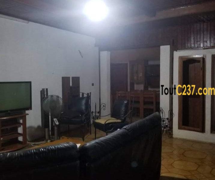 Maison, villa à louer à Kotto Douala