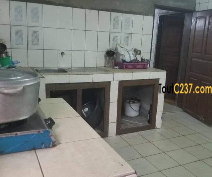Maison, villa à louer à Kotto Douala