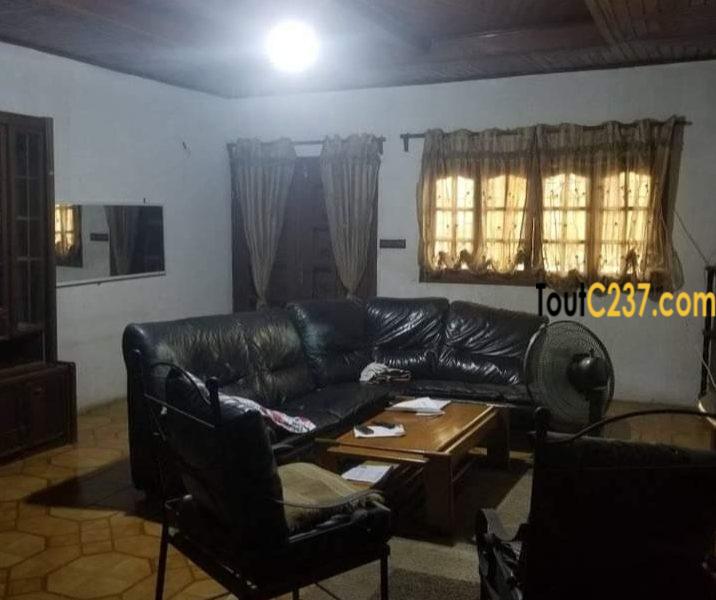 Maison, villa à louer à Kotto Douala