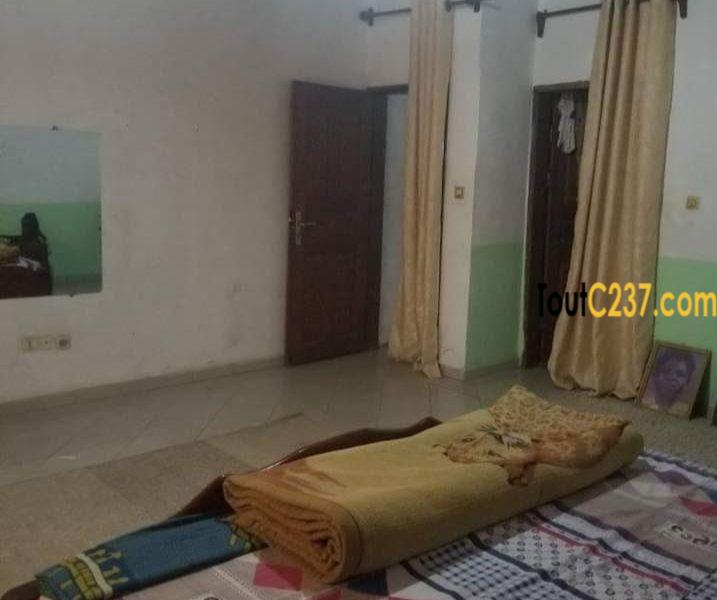 Maison, villa à louer à Kotto Douala