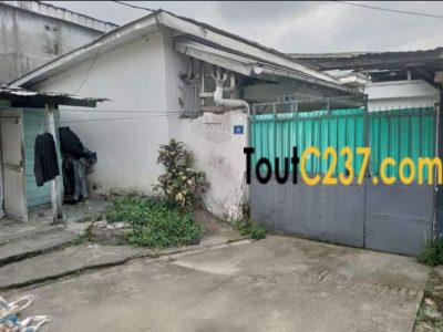 Maison à louer à Bali Douala