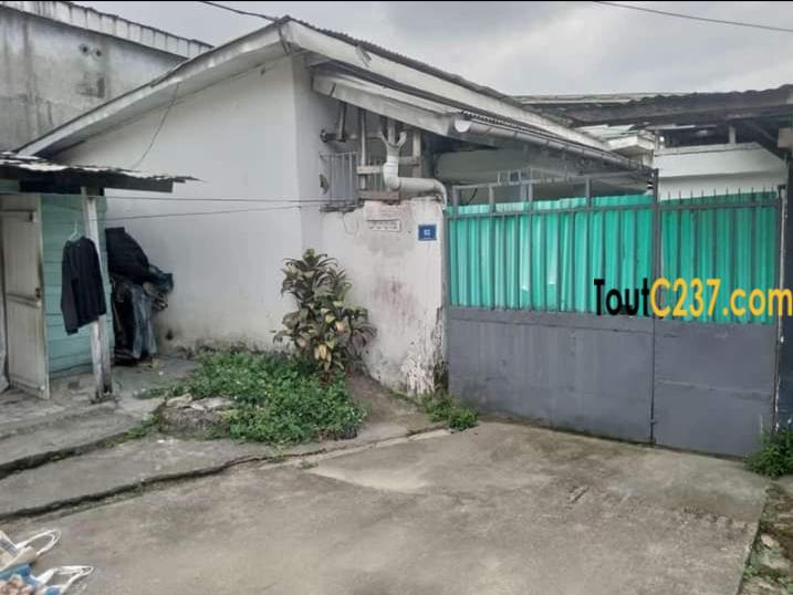 Maison à louer à Bali Douala