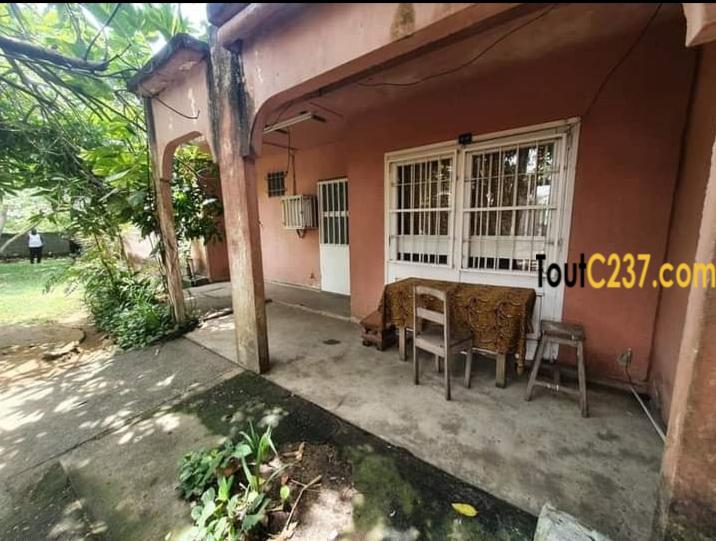 Villa commerciale à louer à Bonamoussadi Douala