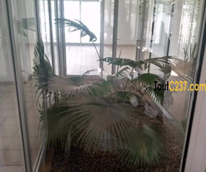 Somptueux Duplex cadre à louer à Bonapriso