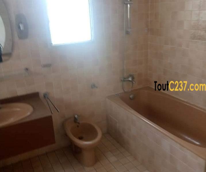 Somptueux Duplex cadre à louer à Bonapriso